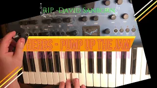 R.I.P. David Sanborn  (Herbs - Pump up the Jam - Vocoder cover)