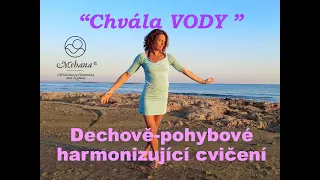 "Chvála vody": Dechově-pohybově-kontemplativní cvičení (Kristina Höschlová)