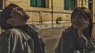 Hai Dil Ye Mera (slowed+reverb)  | AS Lofi
