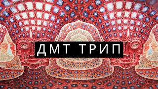 Что такое ДМТ (диметилтриптамин)