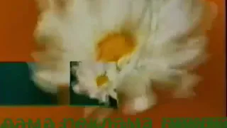 Рекламная заставка (РТР, 1998-1999) Цветок (фейк/реконструкция)