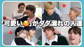 お互いが可愛くて仕方がないNCT DREAM集【日本語字幕】