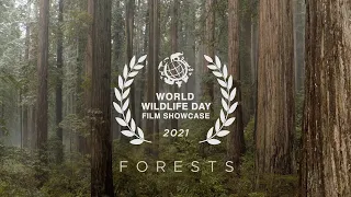 World Wildlife Day 2021 Film Showcase Awards