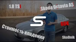 Разваливается ли Octavia к 100 тыс.км? Первый ремонт. Часть 6. Skoda Octavia A5 1.8 TSi АКПП?