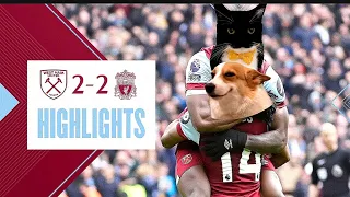CAT MEMES: West Ham United VS Liverpool 2 - 2 | EPL2023/24 Highlights I  football