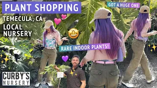 SHOPPING FOR INDOOR PLANTS 🤩🛒 Affordable rare finds at Curby’s Nursery in Temecula California 💜