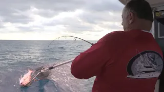 Pecanje zubatca na lignju u Crnoj Gori kod Budve | Fishing in Montenegro