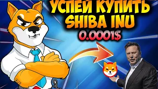 Главные Катализаторы Роста Цены Shiba Inu - Успей Купить SHIB По Акции!!!