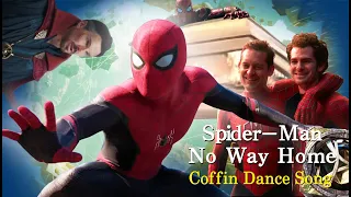 Spider-Man No Way Home | coffin dance song | No Way Home - All Cutscenes | funny video
