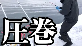 【北海道】【釣り】魚影激熱！！なんだっここ‼️高活性が止まらん！たまらんっ！