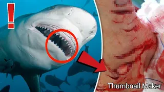 Top 10 Worst GREAT WHITE SHARK Attacks caught on cam 😨