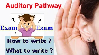 Auditory pathway: Simplest Explanation