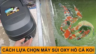 Cách Lựa Chọn Máy Sủi Oxy Cho Hồ Cá Koi ? Khi Nào Cần Lắp Máy Sủi Oxy Và Cách Lắp Như Thế Nào ?