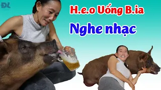 Người phụ nữ cưng h.e.o nhất VN II ĐỘC LẠ BÌNH DƯƠNG