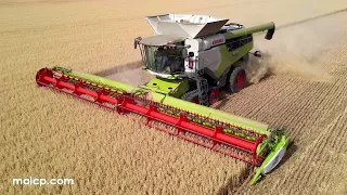 Harvest 2022: Claas Lexion 8900 TT harvesting Oats on Mendlesham Airfield in Suffolk.