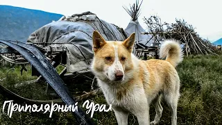 Приполярный Урал #2. Засосало в болото по самые Малые Балбанты, Стоянка оленеводов, Гнус атакует