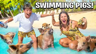 We Finally SWAM with PIGS in the Bahamas! 🐷