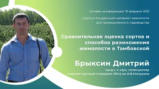 Сравнительная оценка сортов и способов размножения жимолости в Тамбовской области. Брыксин Д.М.