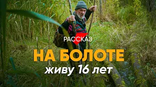 Увидеть весь мир и спрятаться на болоте: #рассказ моряка-отшельника