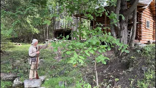 Who Doesn't Need a Fort??  Recreating the 18'th Century Fortified Homestead | FRONTIER LIFE |