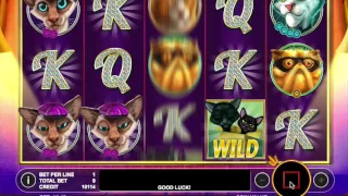 The Catfather Online Slot