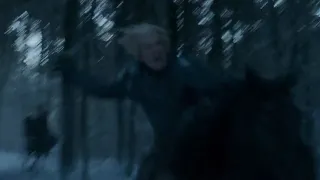 Brienne saving Sansa Stark