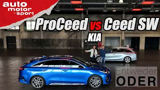 Kia ProCeed vs Ceed Sportswagon | Entweder ODER | (Vergleich/Review) auto motor und sport
