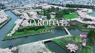 【函館】札幌発JRで日帰り函館観光・満開の桜・女一人食べ歩き/ Hakodate Cherry Blossoms
