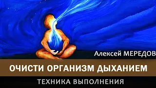 Очисти организм дыханием, техника выполнения. Капалабхати пранаяма. Алексей Мередов