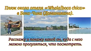 Пляж около отеля «Whala!boca chica» в Бока-Чика (Доминикана). Расскажу и покажу какой он.