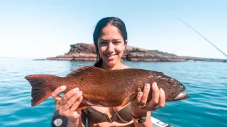 Spearfishing coral trout Ep..09 living that life! catch and cook