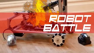BATTLE!! Anki Vector, Cozmo, Sphero Bolt vs Rev Robotics