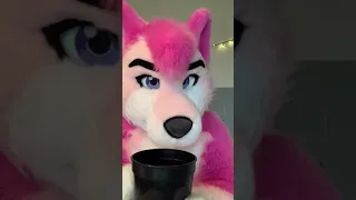 POV: Fursuiter brings you a glass of water at the room party