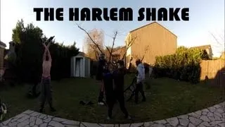 Harlem Shake (Original WTF Version)-HD