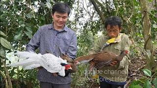 Go to the old forest dig tubers meet the hunter and the white pheasants. Robert | Green forest life