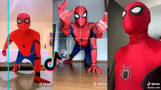 Funny Spider Slack TikTok Compilation