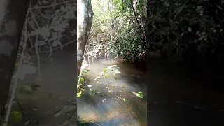 Château d'eau d'Afrique (Guinée Conakry)