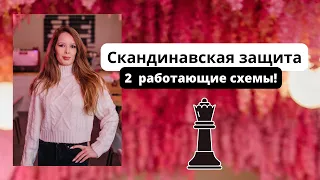 ВЫУЧИТЬ ДЕБЮТ за 5мин. Скандинавская защита!