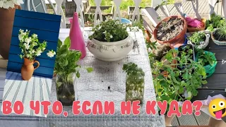 Рум-тур по участку...