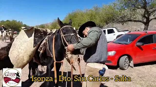 Fiestas  Patronales en Honor al Señor y Virgen del Milagro en Isonza, Dto. San Carlos, Salta.