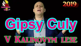 Gipsy Culy   V Kalinovym lese 2019