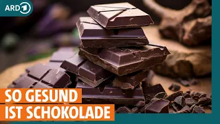 Schokolade: So gesund ist sie wirklich bei Bluthochdruck I ARD Gesund