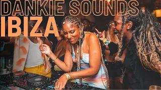 Dankie Sounds Ibiza Access All Areas | Link Up TV