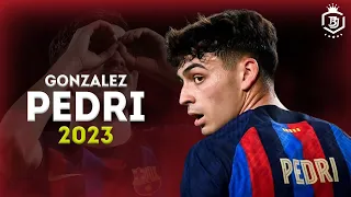 Pedri Gonzalez 2023 - Magic Skills & Goals - HD