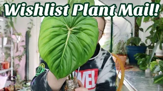 I Got Wishlist Plant Mail! October Plant Trade Unboxing🌿