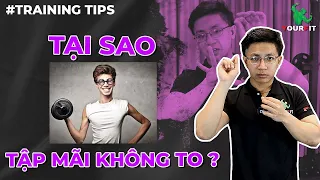 Tập hoài không tăng cơ ? CHAI CƠ là gì và cách khắc phục | Training Tips