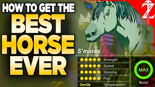 How to Get a 20⭐️ BEST Horse in Tears of the Kingdom (All Malanya Recipes)