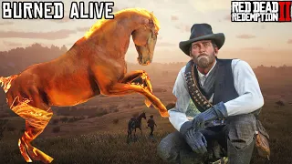 I killed my horse in every way possible in Red Dead Redemption 2