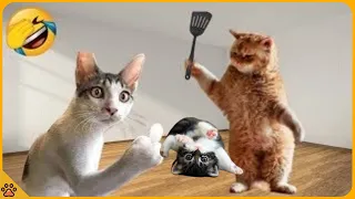Funniest Animals 😅 New Funny Cats and Dogs Videos 😸🐶 #58