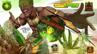 Ragga Jungle - Drum and Bass- Dubwise mix, Rastafari Roots Vol.19 (mixed by King Wuppi) 02.07.2020